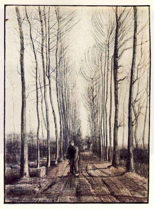 lane with poplar trees.jpg